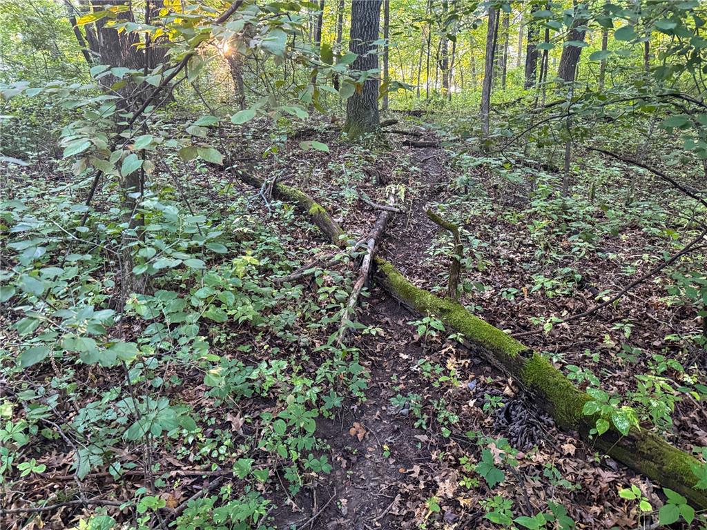 1174 230th Street Baldwin WI 54002 6784514 image43