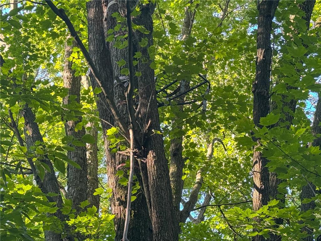 1174 230th Street Baldwin WI 54002 6784514 image47