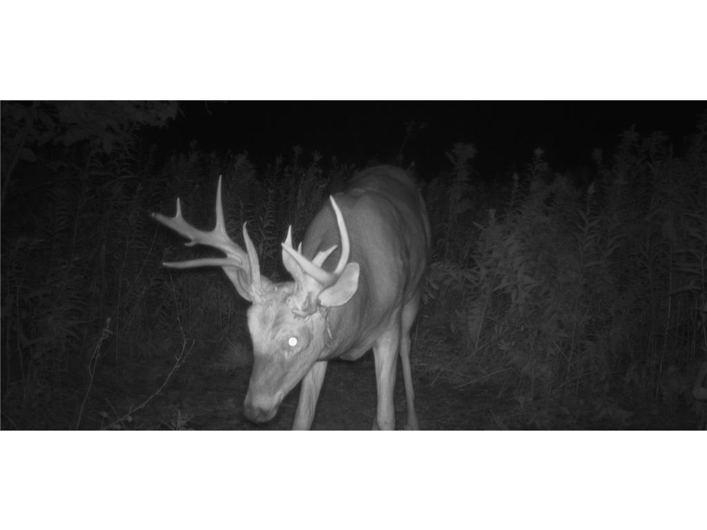 1174 230th Street Baldwin WI 54002 6784514 image51