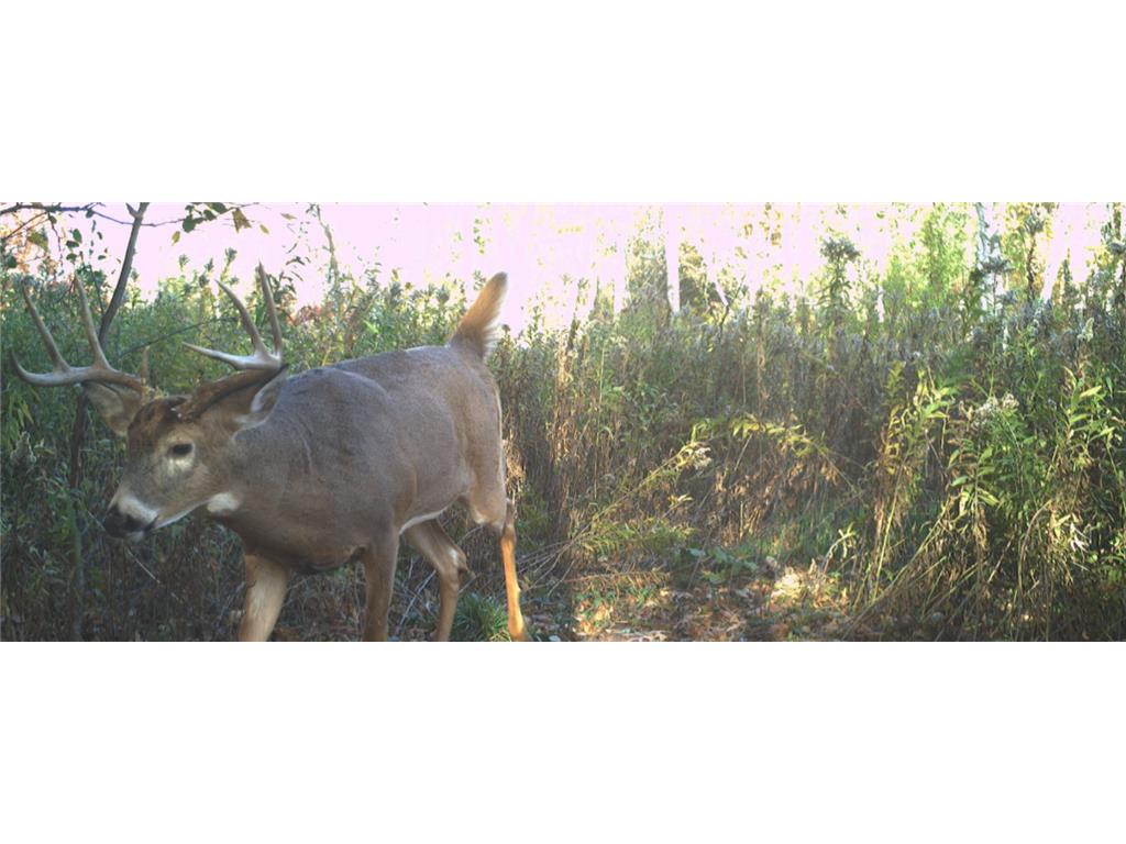 1174 230th Street Baldwin WI 54002 6784514 image55