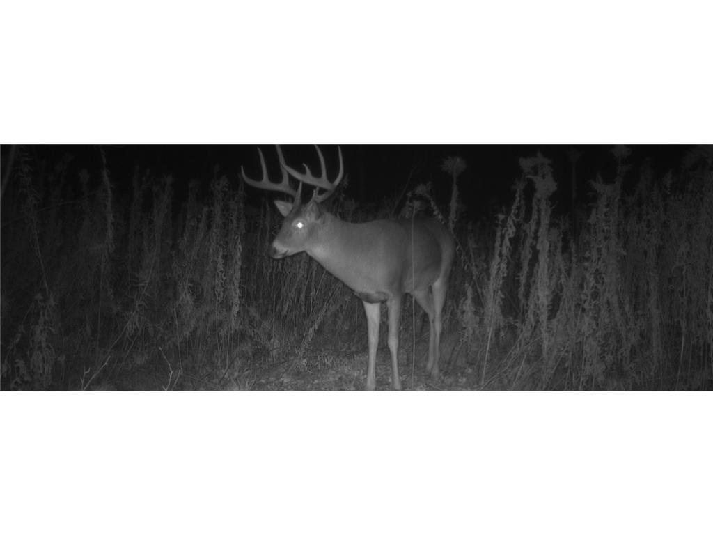 1174 230th Street Baldwin WI 54002 6784514 image56