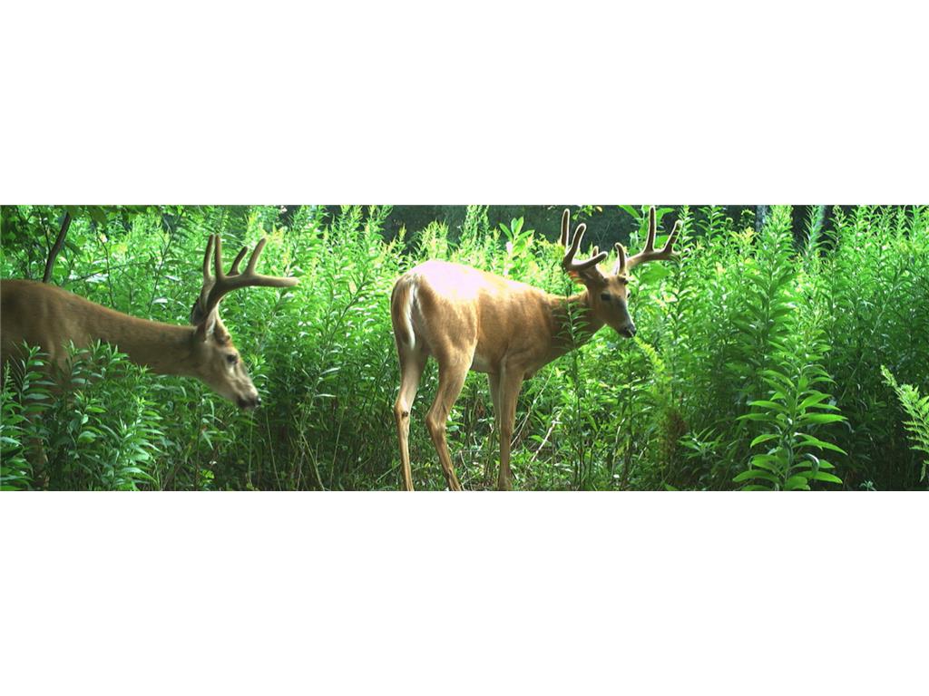 1174 230th Street Baldwin WI 54002 6784514 image57