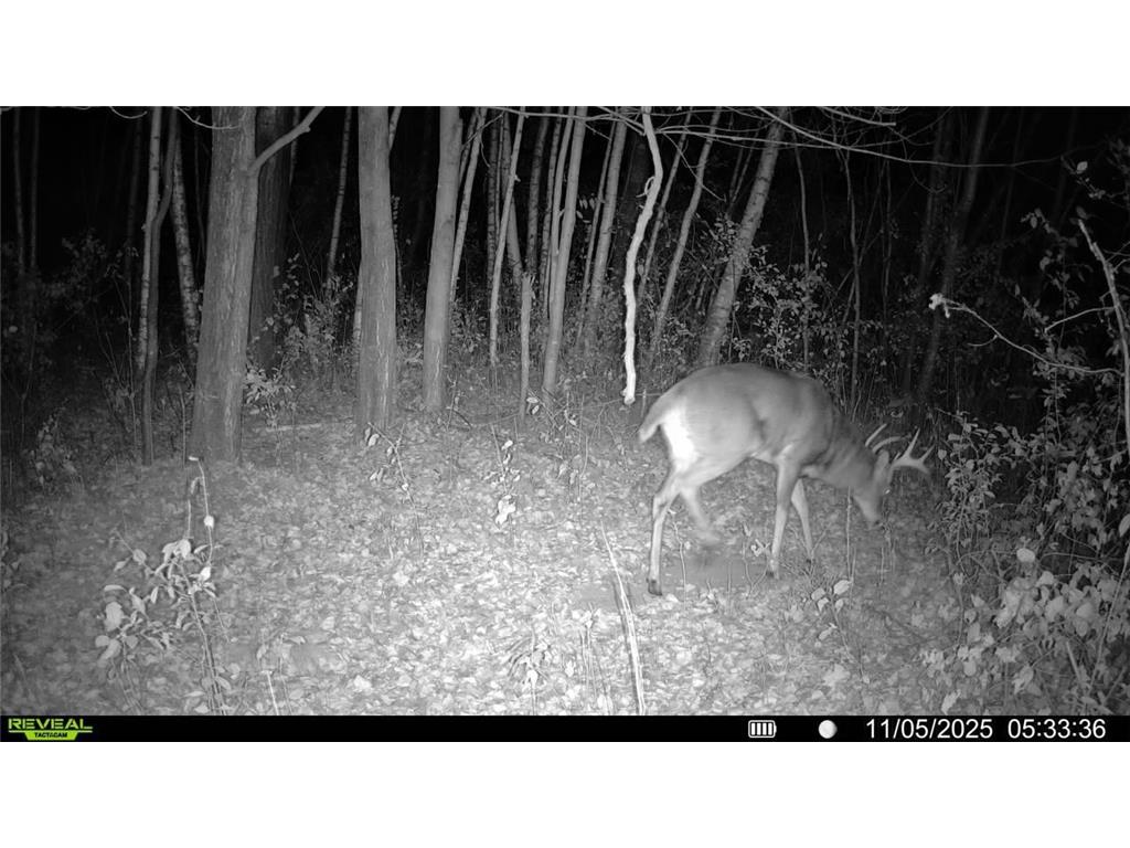 1174 230th Street Baldwin WI 54002 6784514 image61