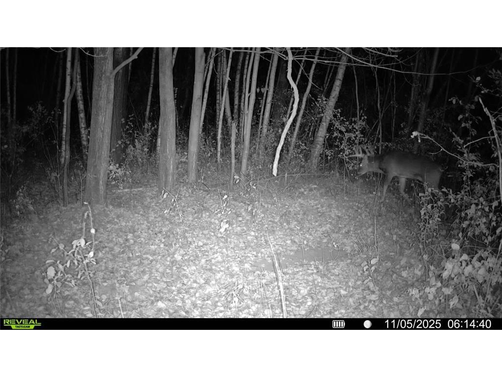 1174 230th Street Baldwin WI 54002 6784514 image62