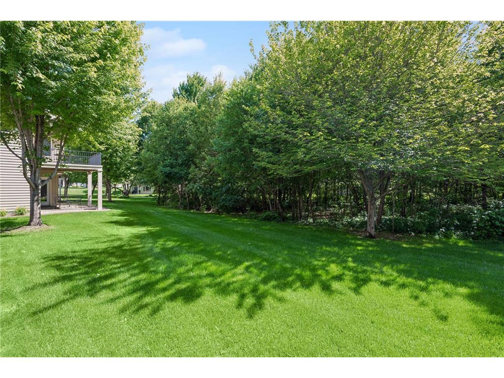 11763 Erskin Circle Blaine MN 55449 7092911 image36