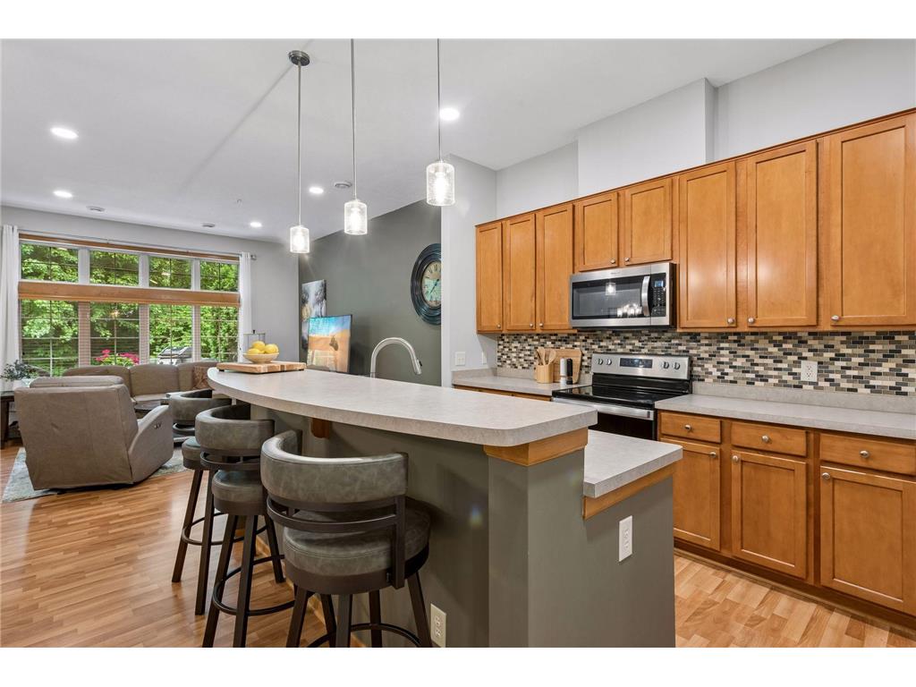 11765 Vermillion Street NE #G Blaine MN 55449 7067925 image12
