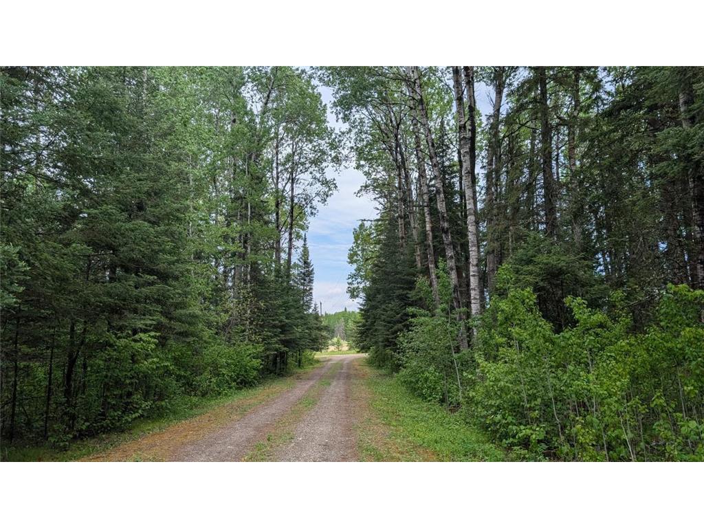 11770 Meadowbrook Road Linden Grove Twp MN 55723 7089277 image2