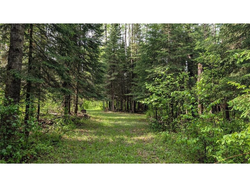 11770 Meadowbrook Road Linden Grove Twp MN 55723 7089277 image29