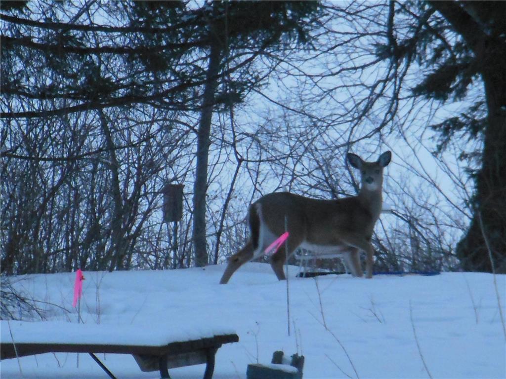 11775 Forestview Drive Baxter MN 56425 7020429 image25