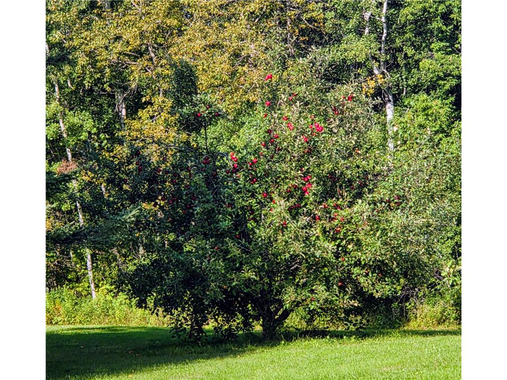 11775 Highway 71 Northome MN 56661 6786602 image15