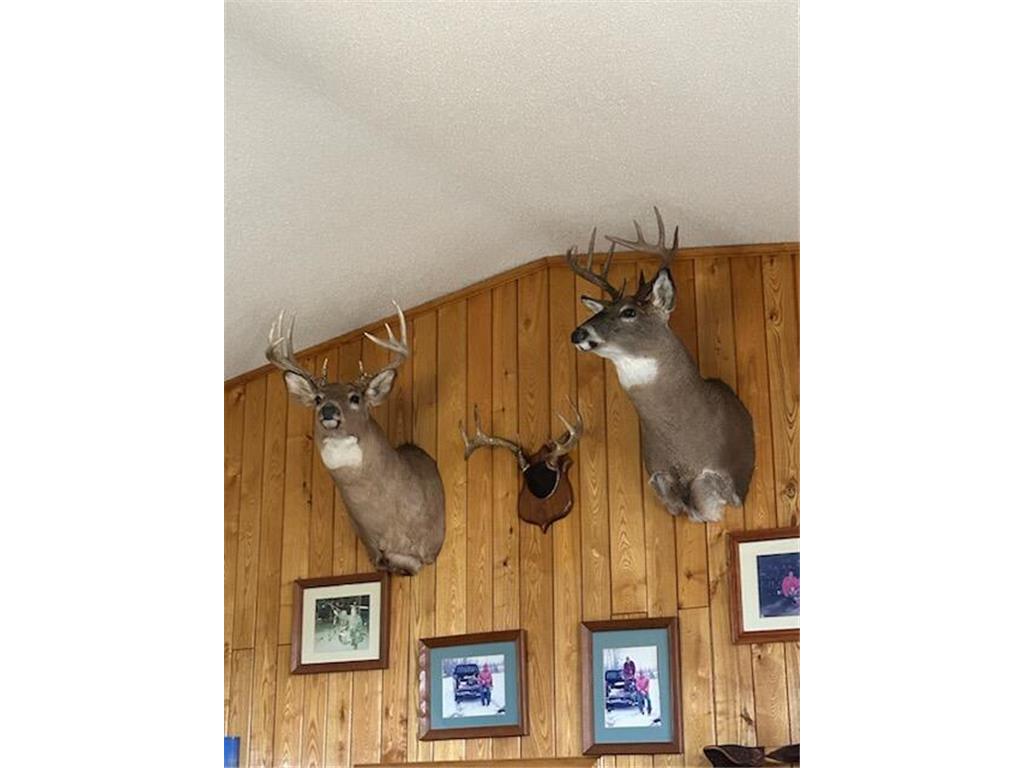 11775 Highway 71 Northome MN 56661 6786602 image19