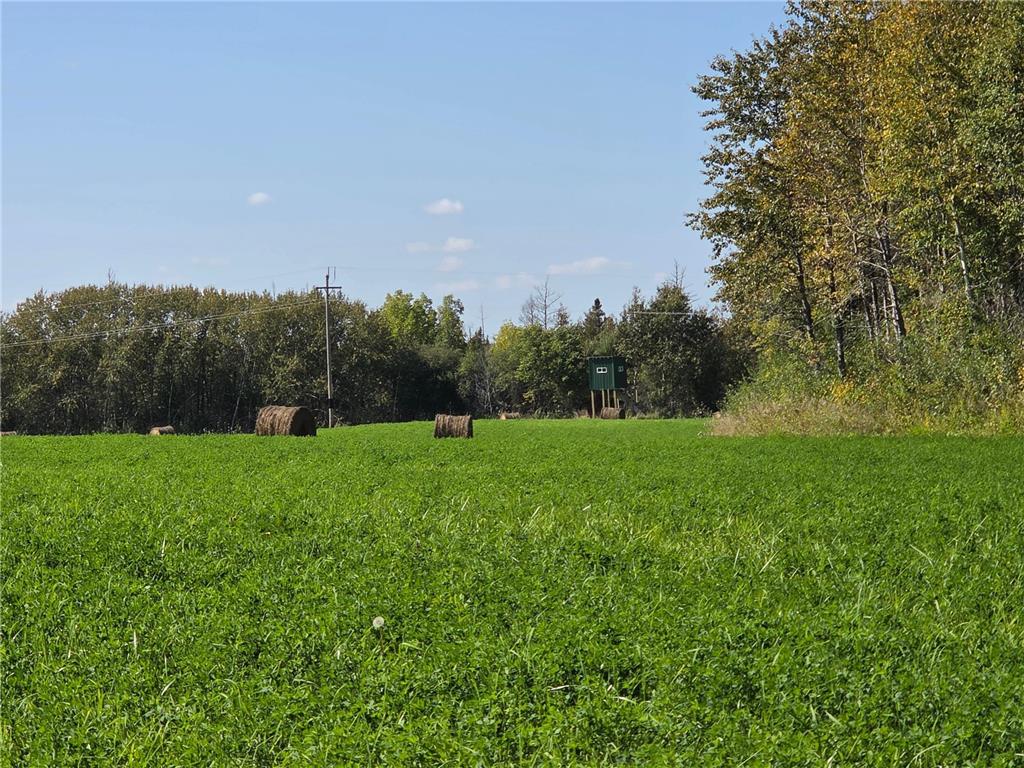 11775 Highway 71 Northome MN 56661 6786602 image35