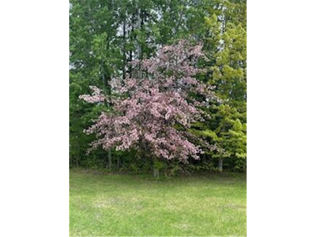 11775 Highway 71 Northome MN 56661 6786602 image36