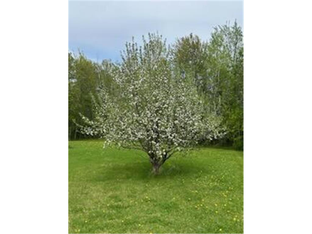 11775 Highway 71 Northome MN 56661 6786602 image37