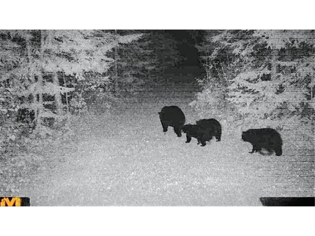 11775 Highway 71 Northome MN 56661 6786602 image38