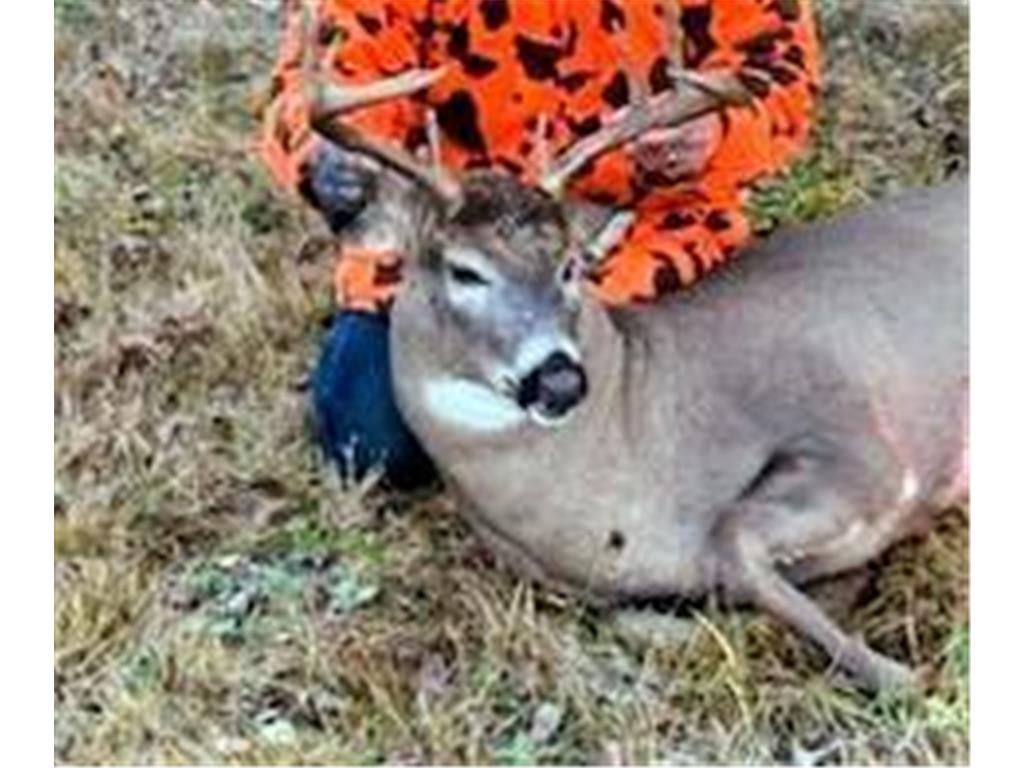 11775 Highway 71 Northome MN 56661 6786602 image39