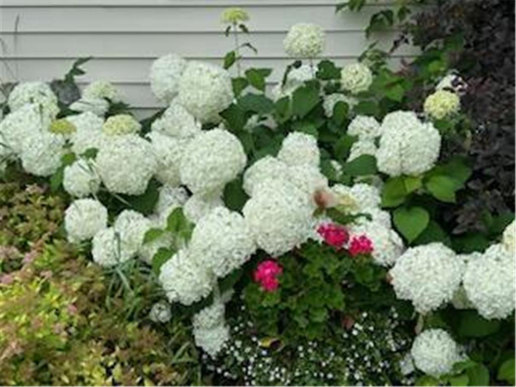 11775 Highway 71 Northome MN 56661 6786602 image6