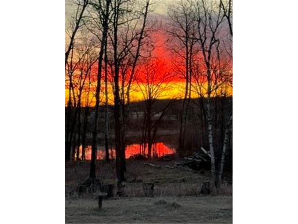 11777 State Highway 11 SE Baudette MN 56623 - Rainy River 7080032 image33