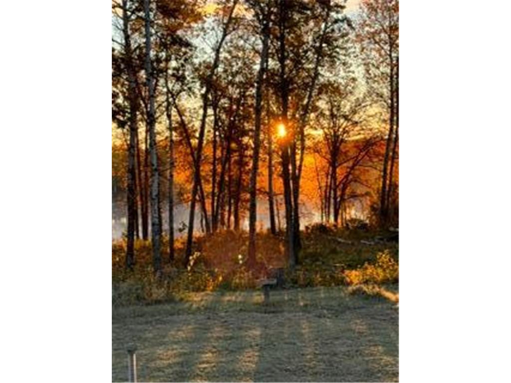 11777 State Highway 11 SE Baudette MN 56623 - Rainy River 7080032 image39
