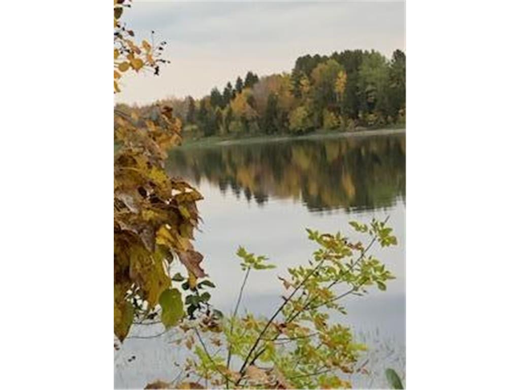 11777 State Highway 11 SE Baudette MN 56623 - Rainy River 7080032 image45