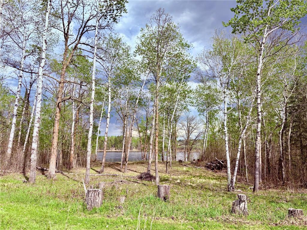 11777 State Highway 11 SE Baudette MN 56623 - Rainy River 7080032 image77