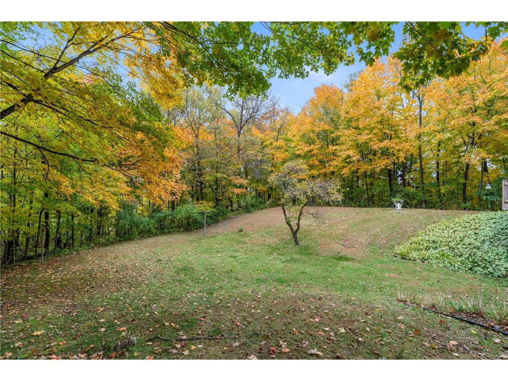 11780 Elm Creek Road Dayton MN 55369 6809915 image44