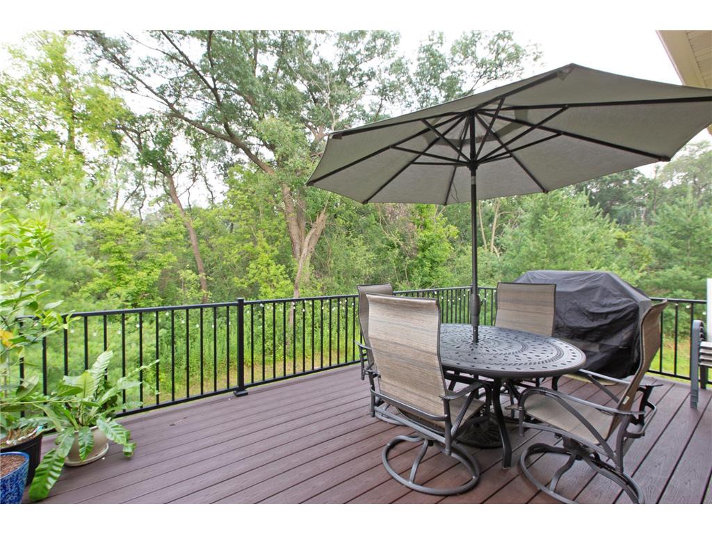 11784 Azure Lane Inver Grove Heights MN 55077 6765717 image18