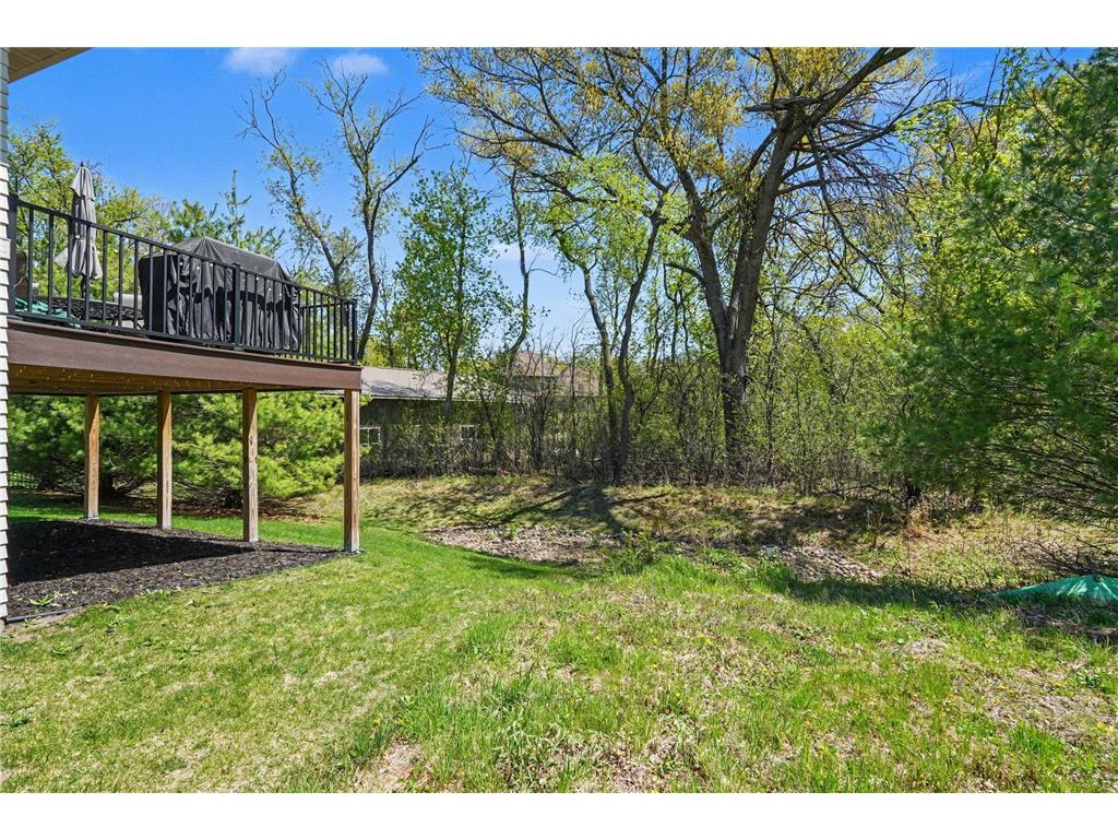 11784 Azure Lane Inver Grove Heights MN 55077 7068036 image37