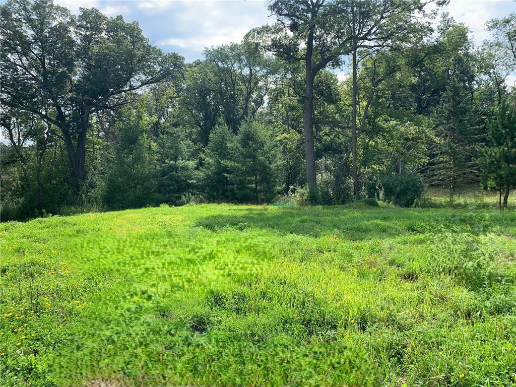 11798 Azure Lane Inver Grove Heights MN 55077 6757556 image2