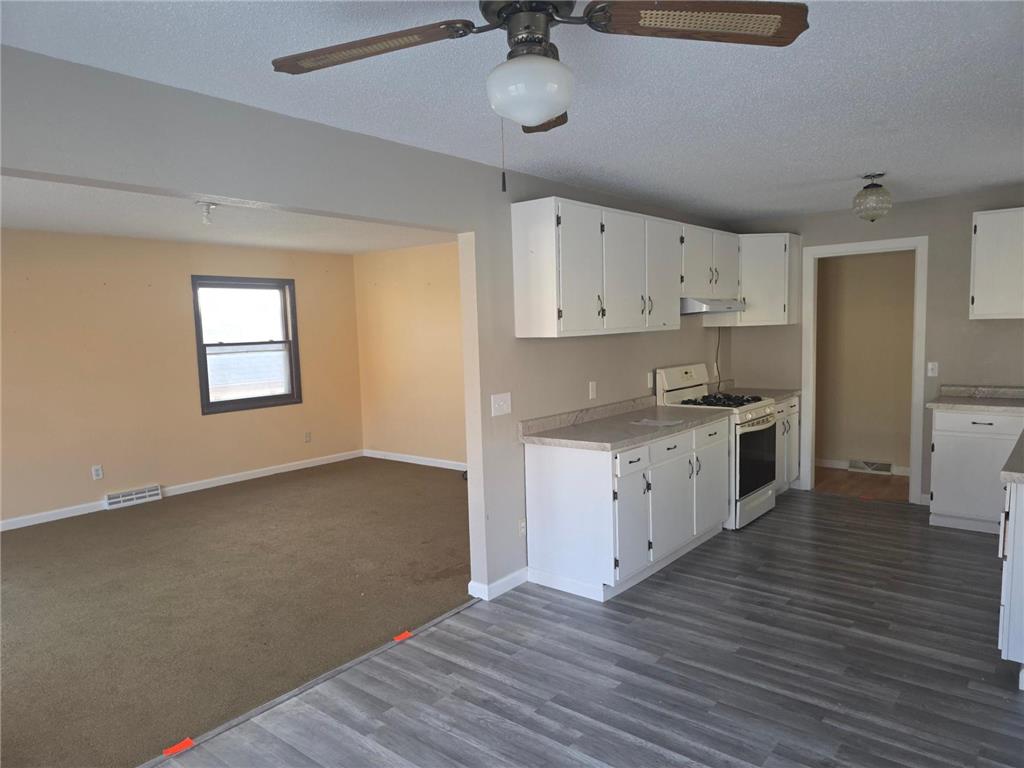 118 N O Connell Avenue Springfield MN 56087 7003475 image4