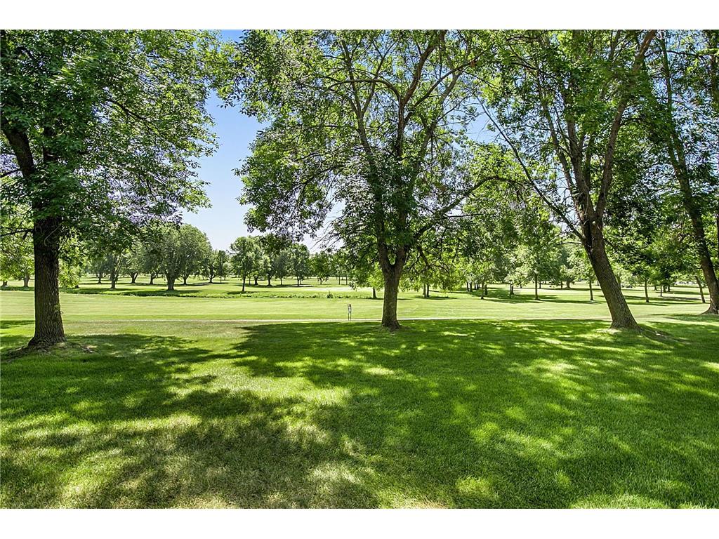 118 River Oaks Drive Cold Spring MN 56320 7108798 image41