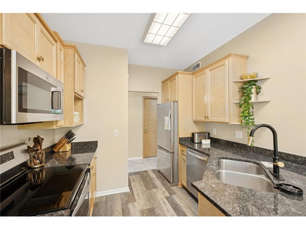 118 S Shannon Drive Jackson Twp MN 55379 7062082 image22