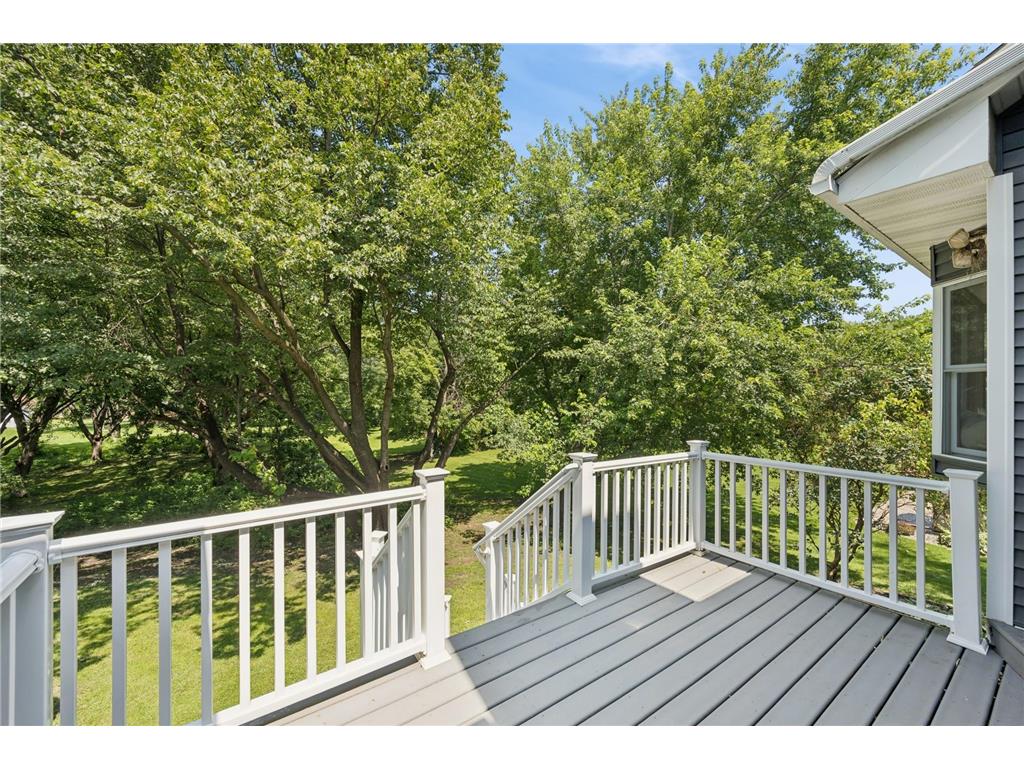118 S Shannon Drive Jackson Twp MN 55379 7062082 image26
