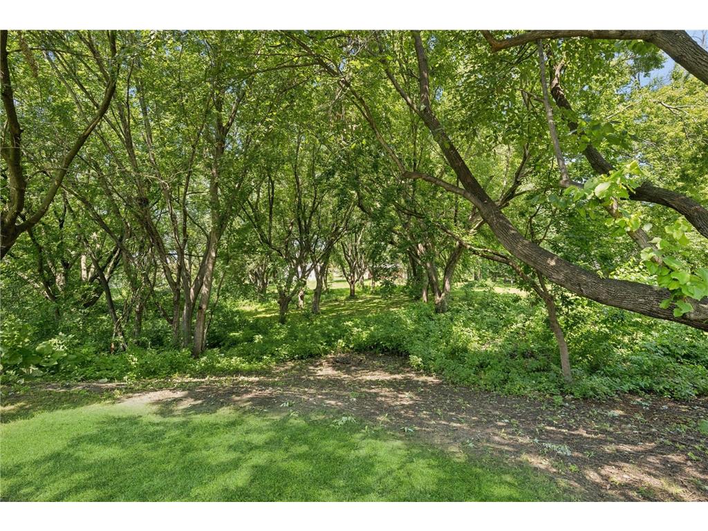 118 S Shannon Drive Jackson Twp MN 55379 7062082 image5