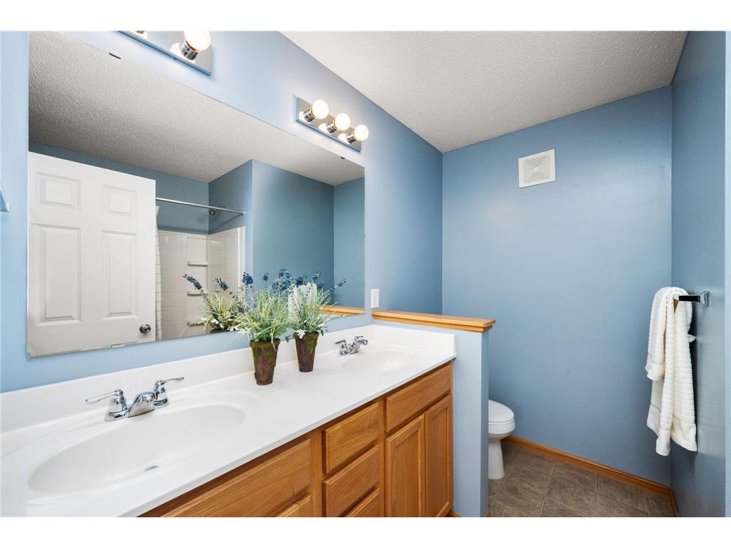 11808 Emery Village Drive N Champlin MN 55316 7079168 image17