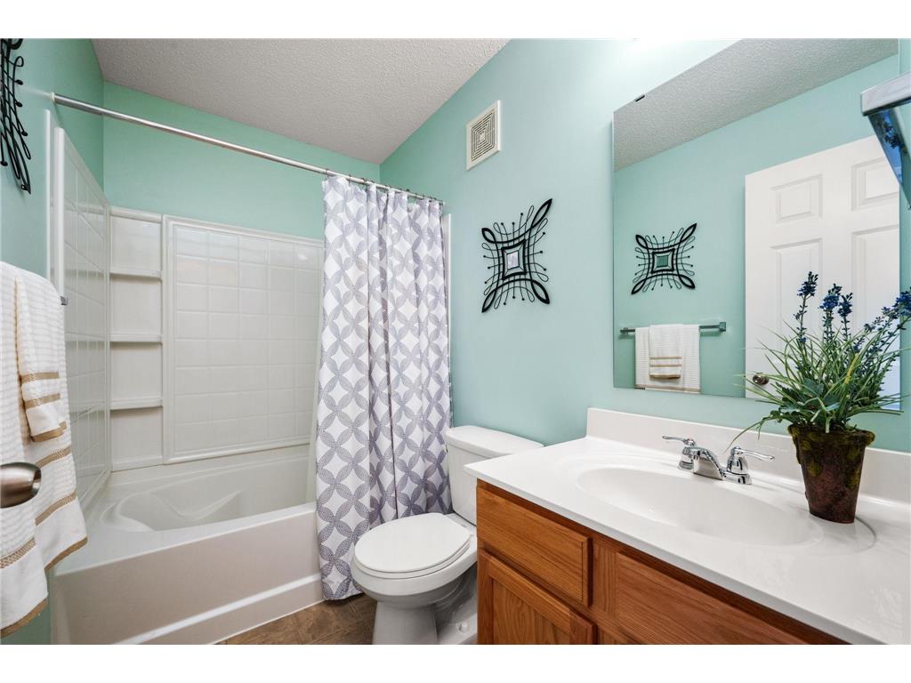 11808 Emery Village Drive N Champlin MN 55316 7079168 image21