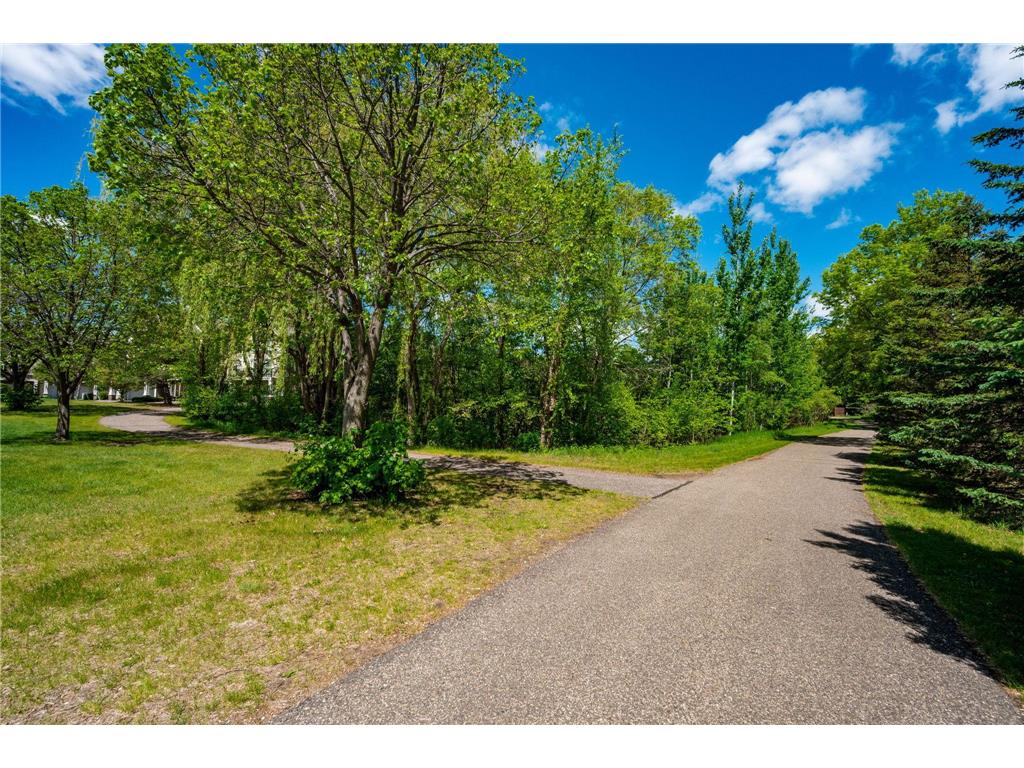 11808 Emery Village Drive N Champlin MN 55316 7079168 image28