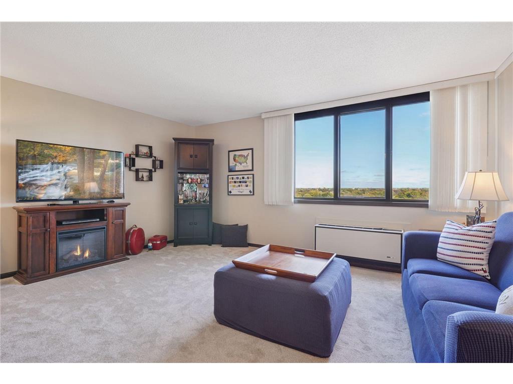 1181 Edgcumbe Road #1008 Saint Paul MN 55105 6807895 image3