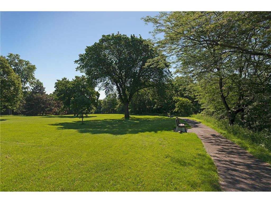 1181 Edgcumbe Road #1008 Saint Paul MN 55105 6807895 image69