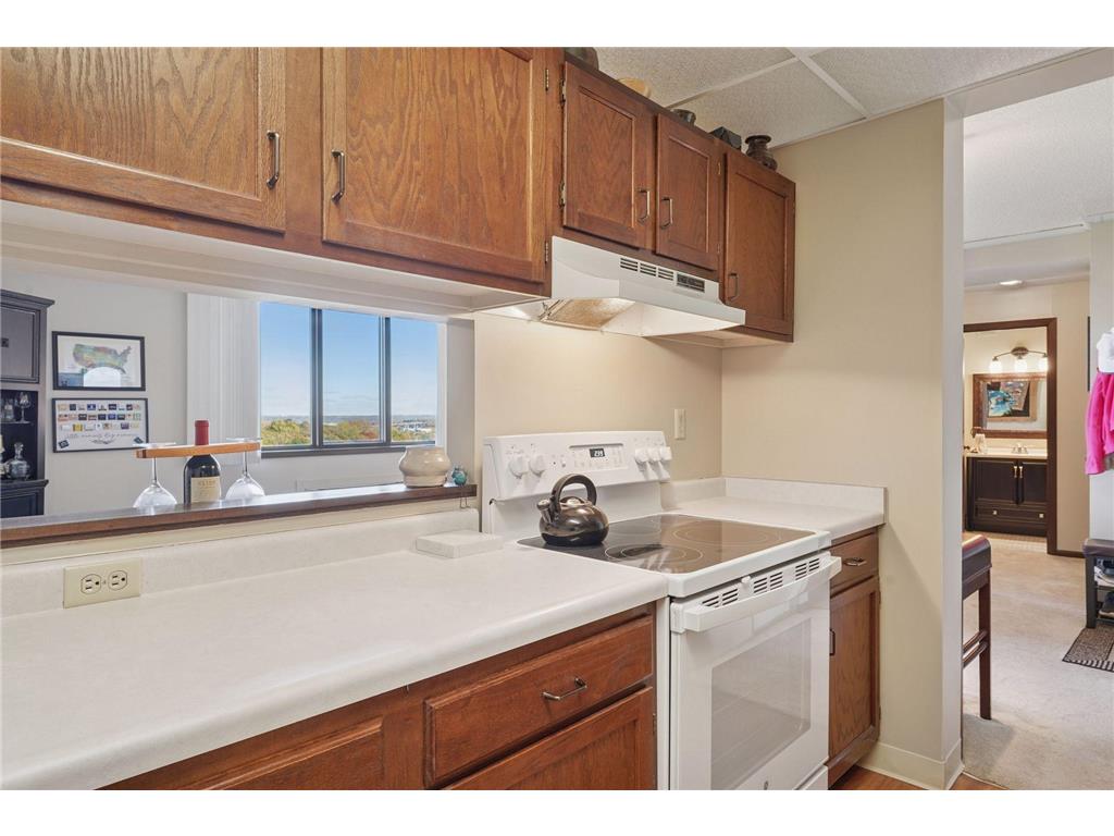 1181 Edgcumbe Road #1008 Saint Paul MN 55105 6807895 image7