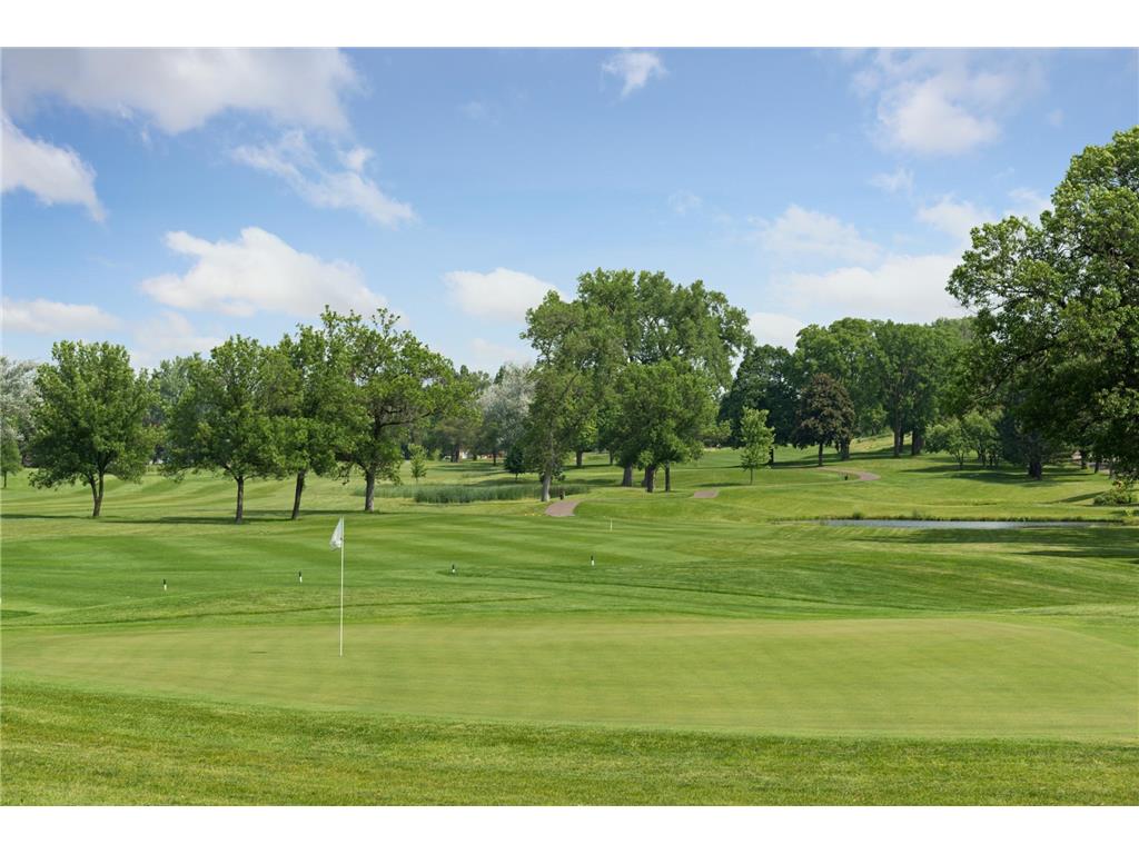 1181 Edgcumbe Road #1008 Saint Paul MN 55105 6807895 image75