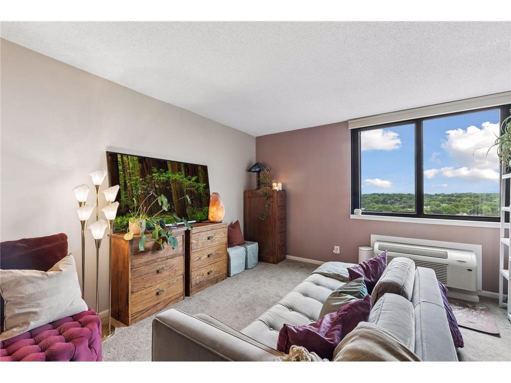 1181 Edgcumbe Road #1515 Saint Paul MN 55105 7092242 image8