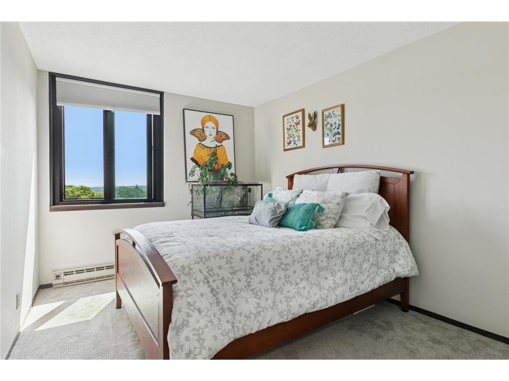 1181 Edgcumbe Road #501 Saint Paul MN 55105 6791882 image13