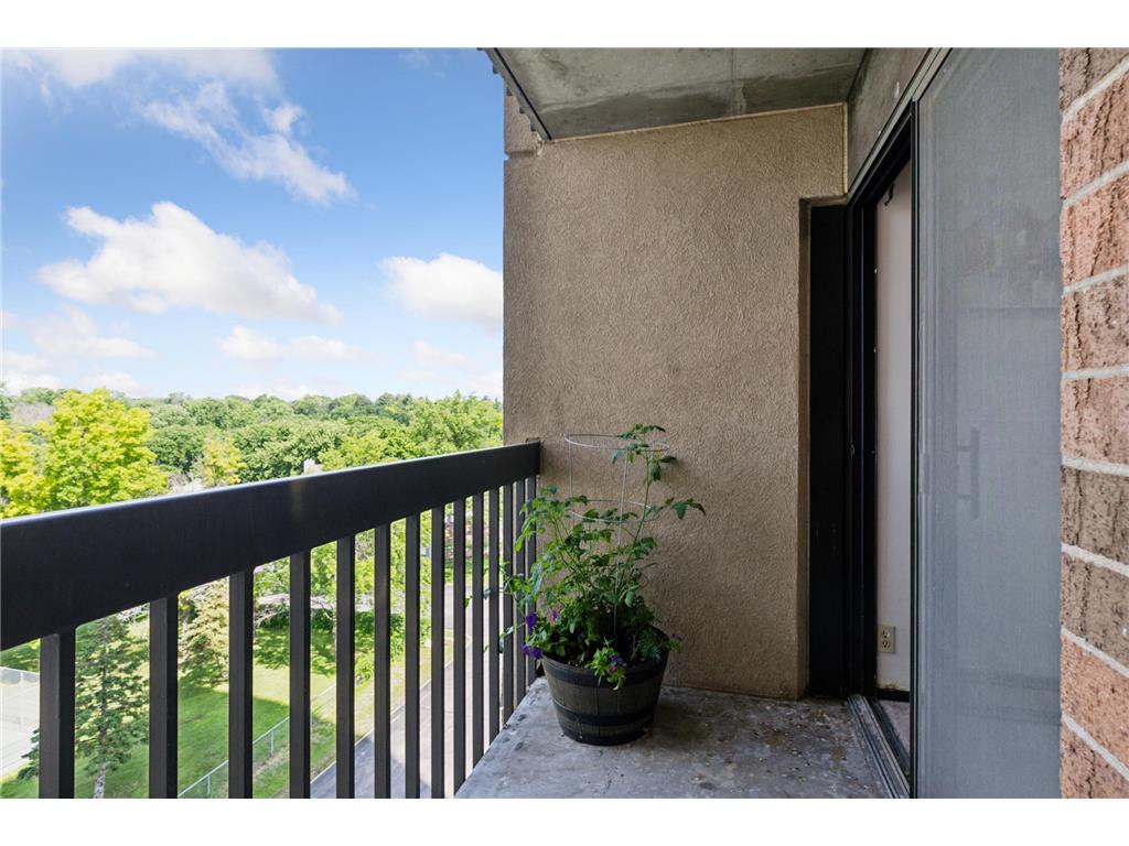 1181 Edgcumbe Road #501 Saint Paul MN 55105 6791882 image15