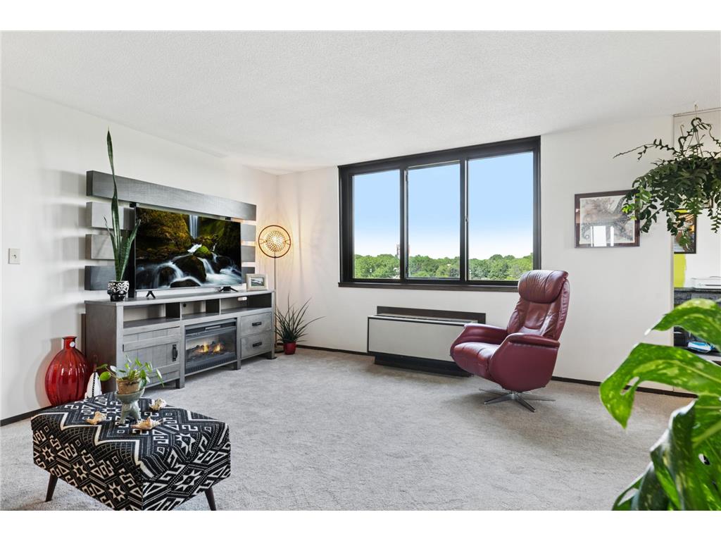 1181 Edgcumbe Road #501 Saint Paul MN 55105 6791882 image4