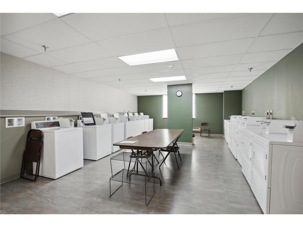 1181 Edgcumbe Road #501 Saint Paul MN 55105 6791882 image98