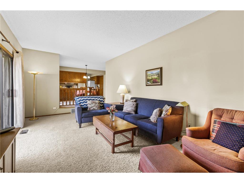 1181 Karth Lake Drive Arden Hills MN 55112 7040599 image19