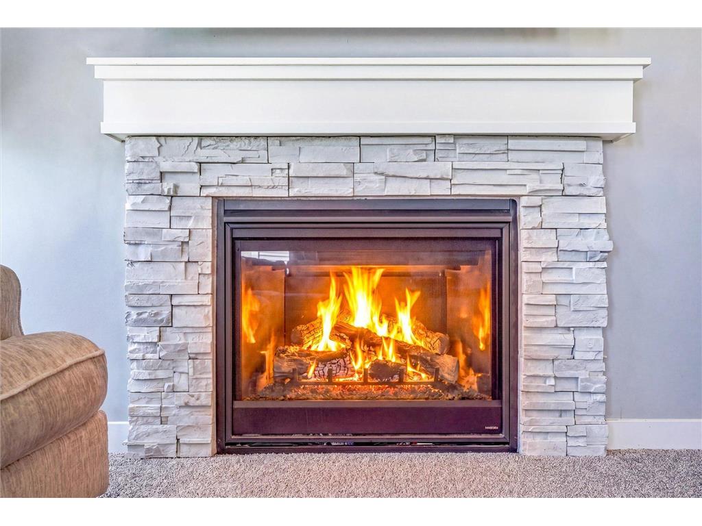 11829 71st Street NE Albertville MN 55301 7051958 image17