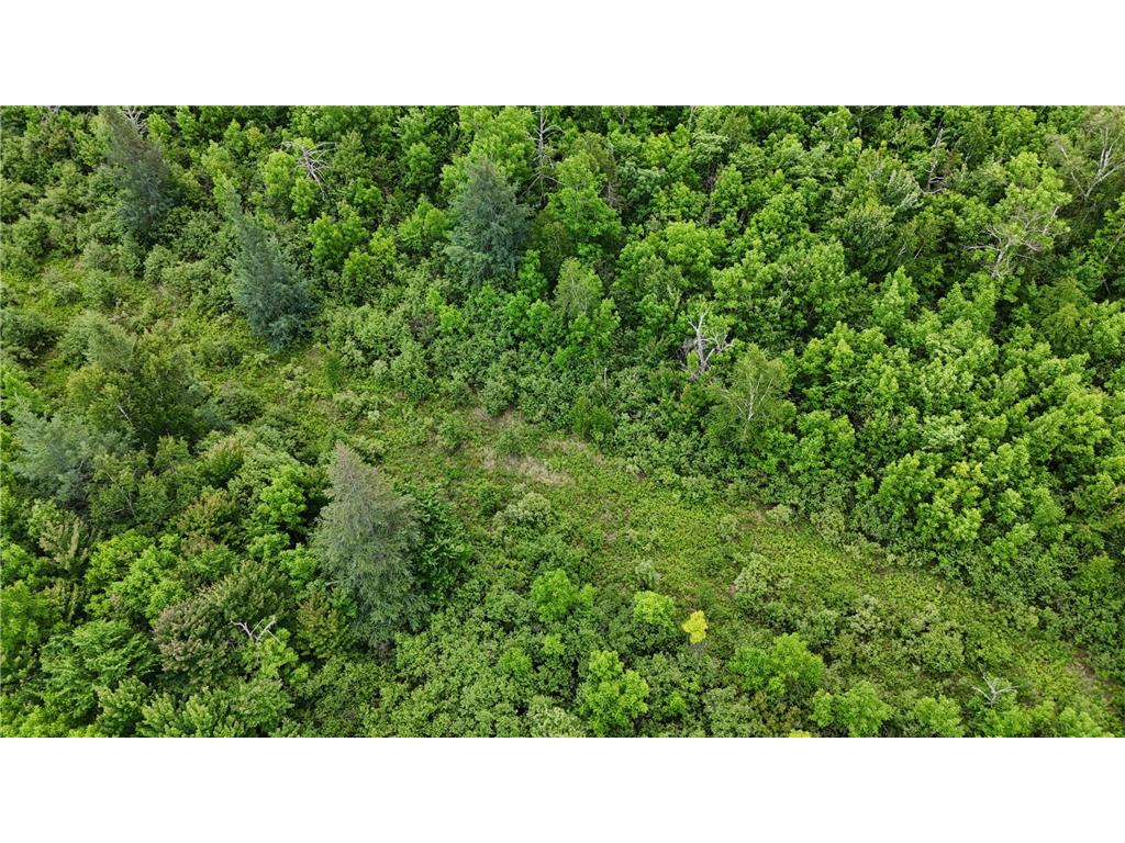 11840 Rice Haven Road Floodwood MN 55736 7093594 image12