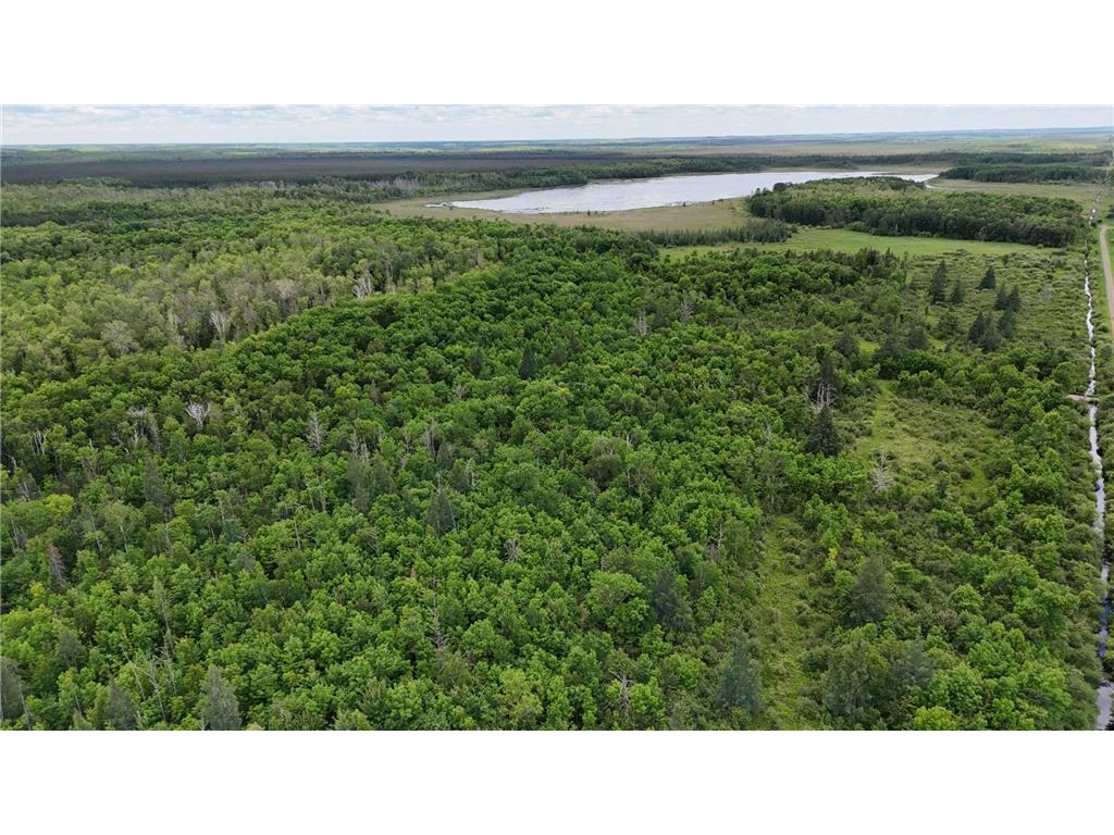 11840 Rice Haven Road Floodwood MN 55736 7093594 image14